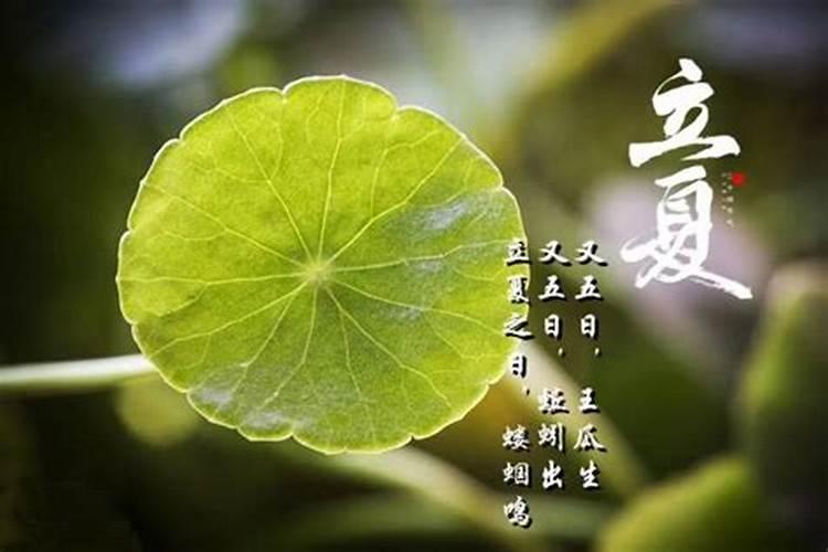 梦到别人送我花是什么预兆？