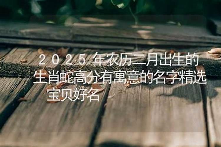 十二地支的相生相克相合