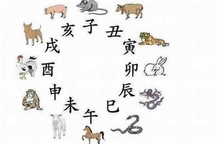 82年狗女2025年运势及运程每月运程