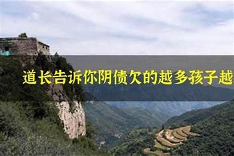 还寿生债怎么查怎么计算