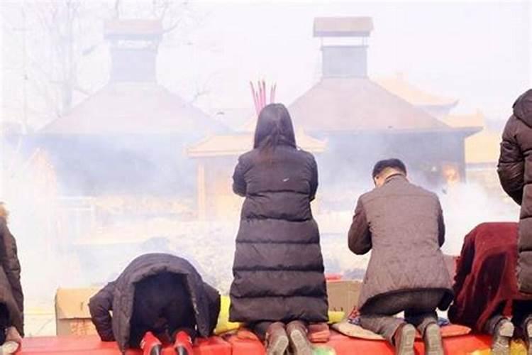 甘肃庆阳华池养殖土鸡蛋鸡应该养什么品种的,现在的土鸡蛋价格怎么样...
