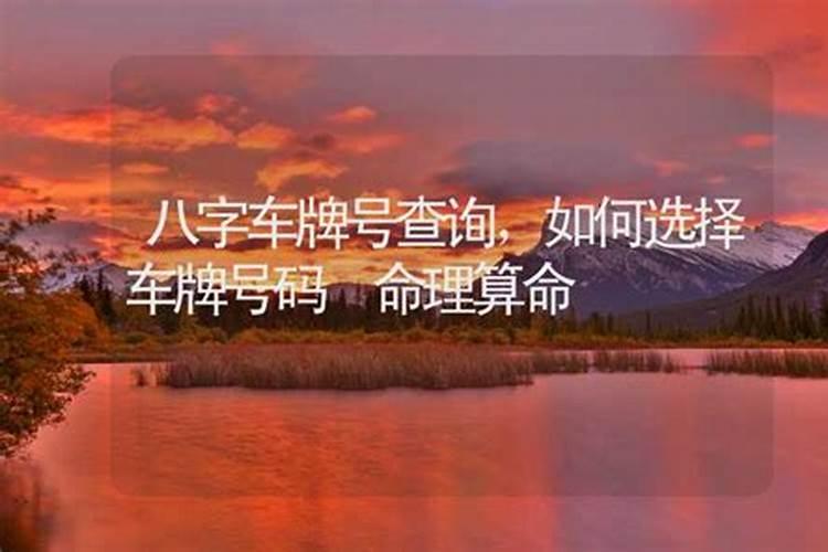 车牌号数字最忌讳哪个 依据生辰八字选车牌？