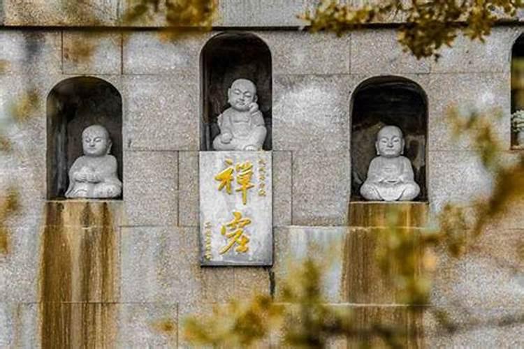 地圣王老师你好,请问一下甲戌年女和癸酉年男婚姻适合吗？