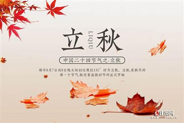 属狗2025年运势详解
