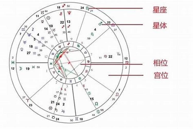属猪犯太岁？