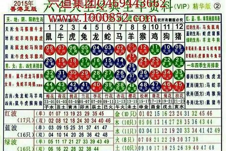 1958年属狗2024年运势及运程详解 58年属狗人2024年龙年每月运程