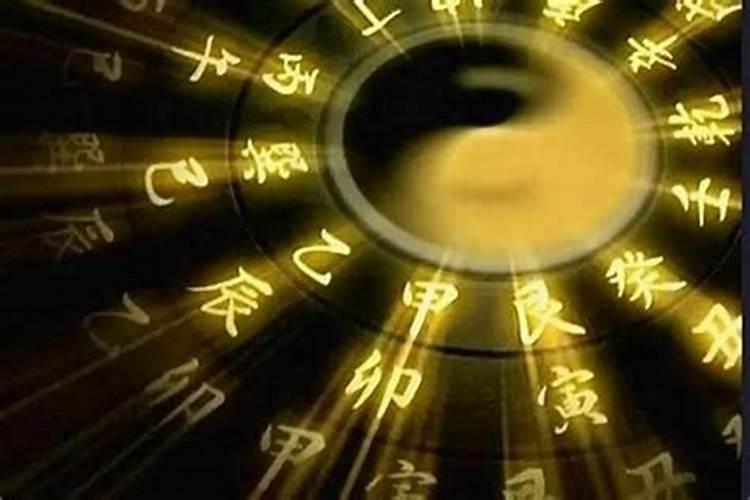 89年的蛇2025年运势