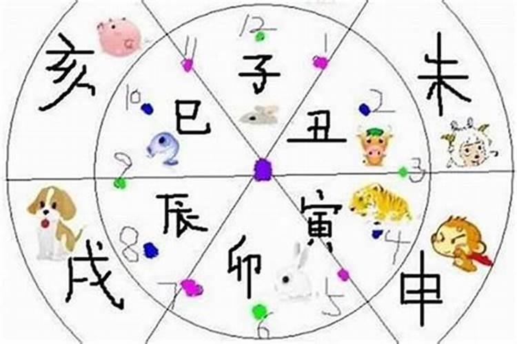 兔年男和什么生肖最配