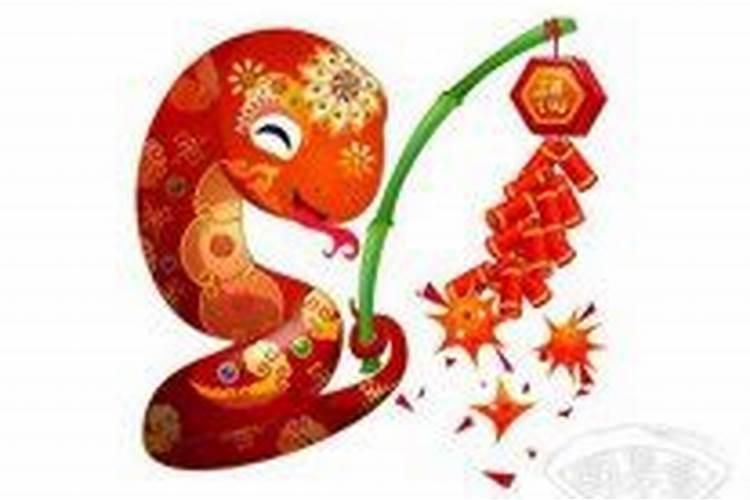 属蛇多大年龄