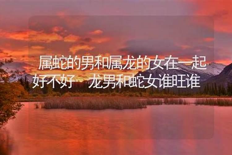 属龙男与属蛇女一起好吗