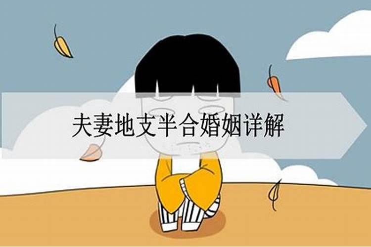 属狗未来十年的运势