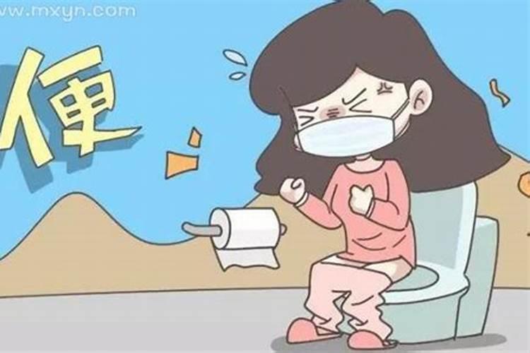 梦见猫上床拉屎的预兆