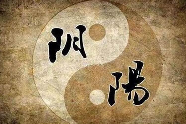 六爻预测辛卯年年运