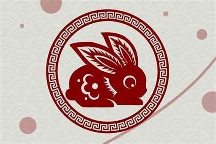 属兔几月出生最好命运