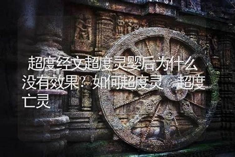1987年属兔2025年的运势及运程如何