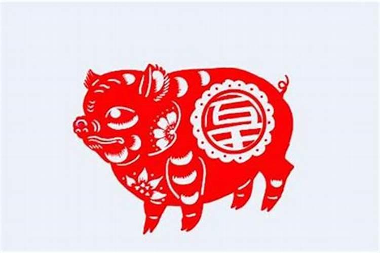 83属猪的佩戴什么最旺财