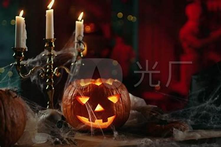 陇东地区指的是哪里