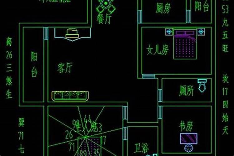 属鸡的和属鼠的相配吗