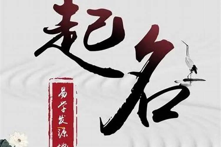 1983年属猪男2025年运势及运程