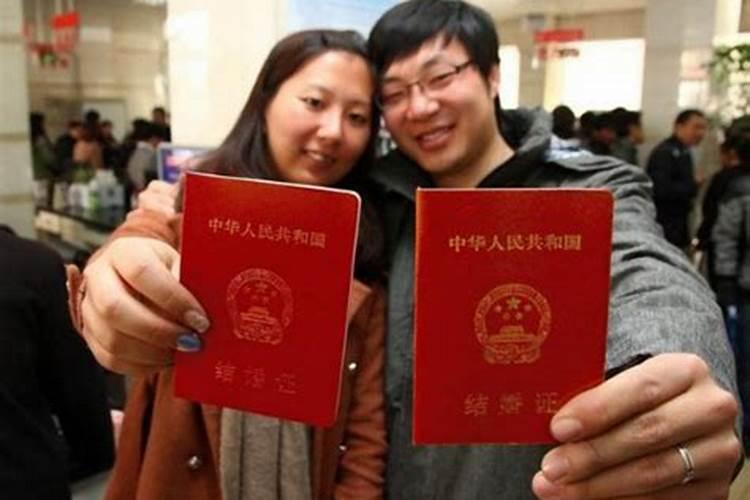 属蛇客厅摆什么最旺财运