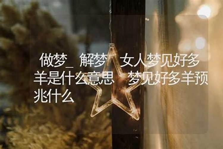 梦见看到好多人的预兆
