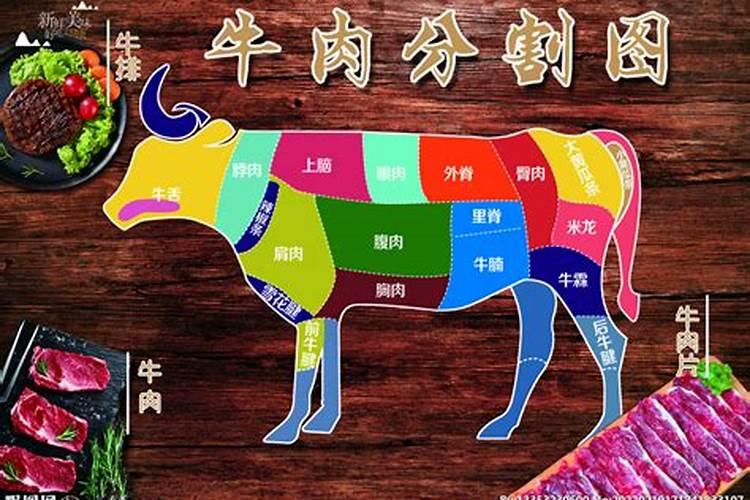 请问78年农历3月23日出生运程