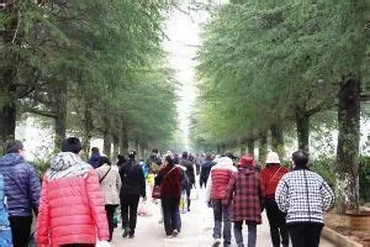 2022昆明金宝山艺术园林冬至节祭扫指南(防疫+祭扫专线)