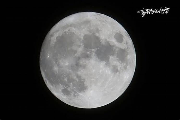 虎年犯太岁的生肖有哪几个