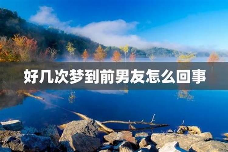梦见老鼠往自己身上扑的预兆