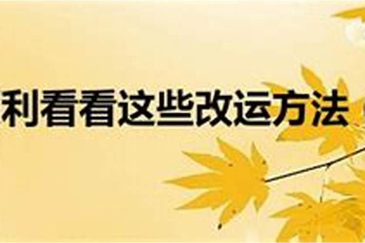 1974年是什么星座