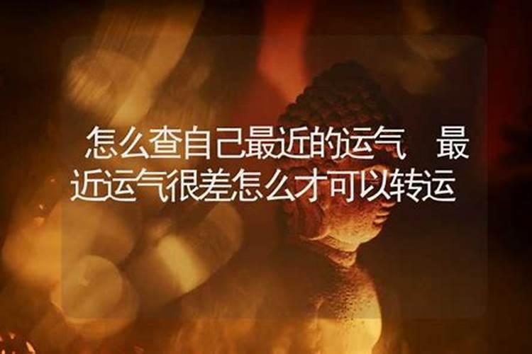 属猴和属鼠合不合