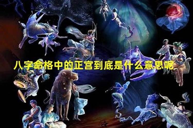 正官格是什么意思