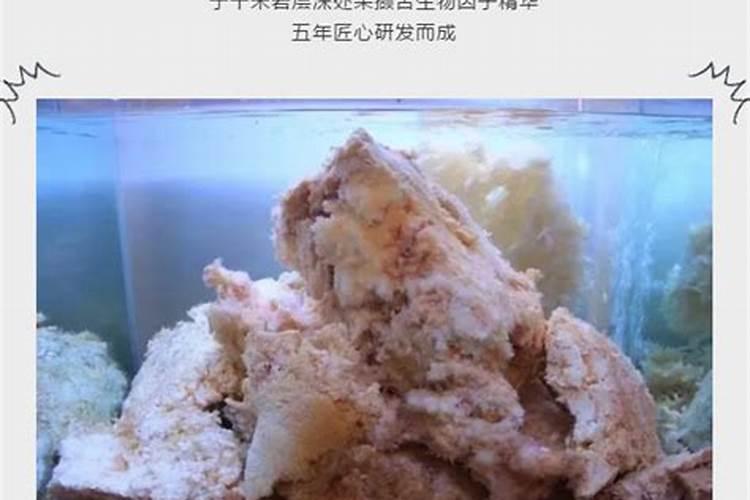 属鼠的女人2025年运势全年