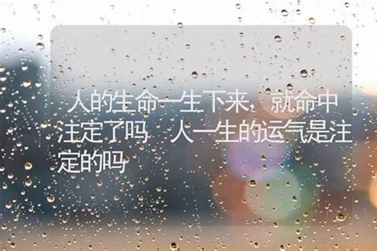 人们都说人的缘分天注定,自从你出生的时候你的命运上天就已经安排好了...