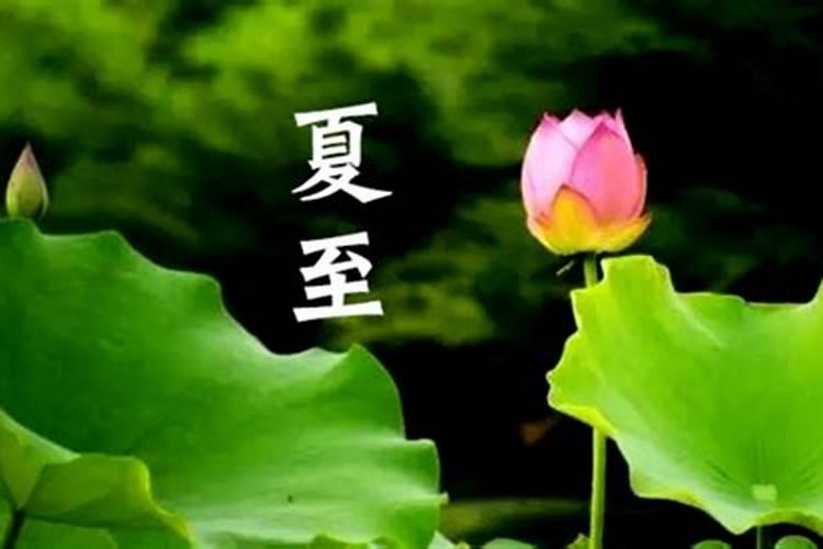 属狗人哪年财运最旺 虎年是六合之年？