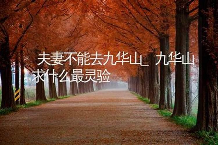 九华山求姻缘去哪个寺庙