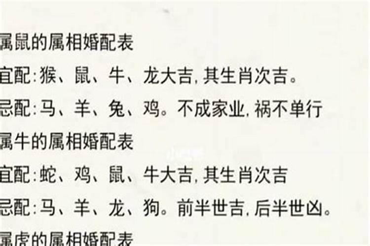 生辰八字 哪个重要
