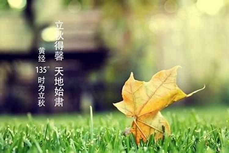 堕胎婴儿如何念佛投胎  百度宝宝知道