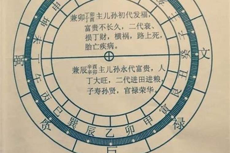 你的家乡有哪些年味美食呢？