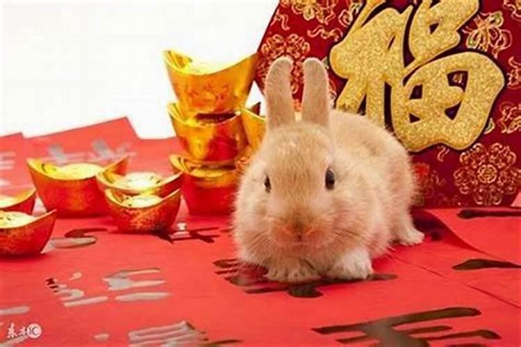属兔婚姻一生有几大劫 应该怎样化解？