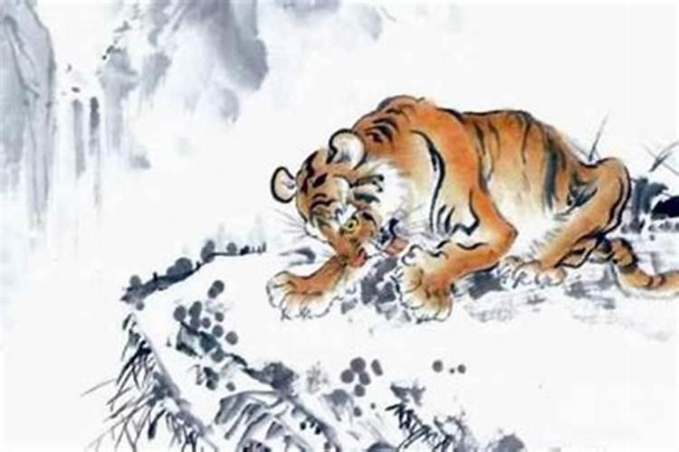 属虎的和什么属相最配、相克
