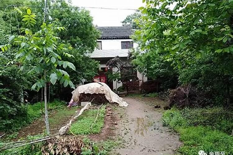 梦见男朋友出轨是什么寓意