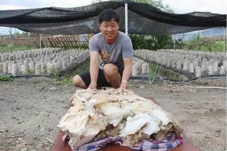 娱乐圈的婚姻几乎都是俊男靓女,为什么这样的婚姻反而不长久呢？
