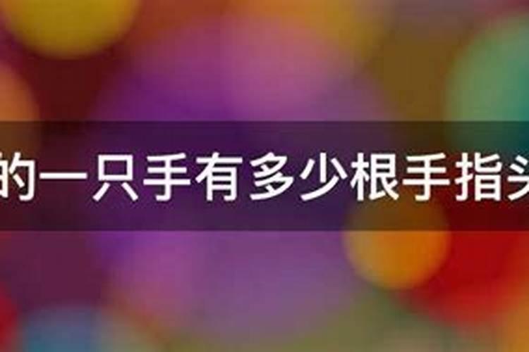 91年羊女2025年每月运势如何