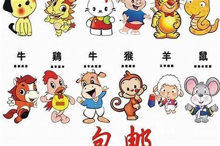鸡和虎在一起有财运吗