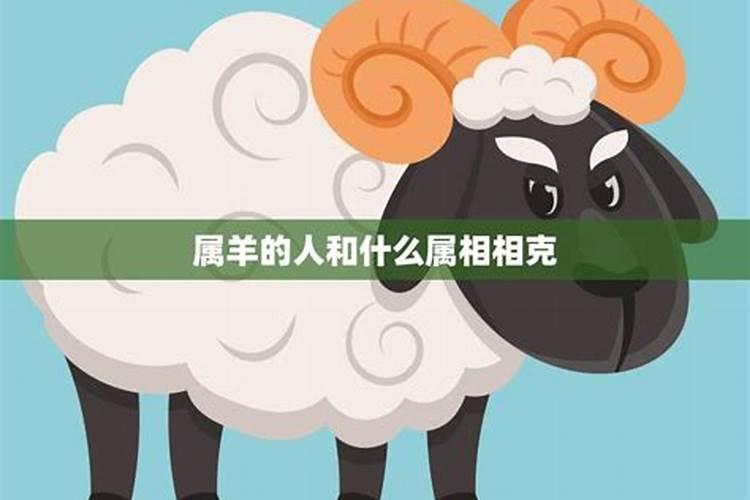 属兔与属羊适合做夫妻吗 生什么属相的宝宝最好？