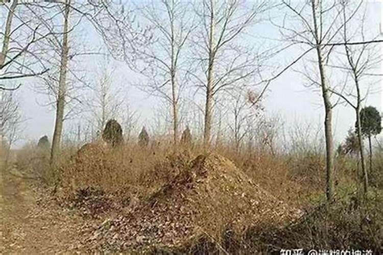 八字配对测试婚姻 八字合婚最准的方法？