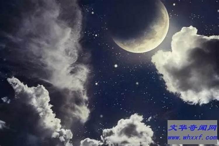 子时出生属狗男孩的命运好吗