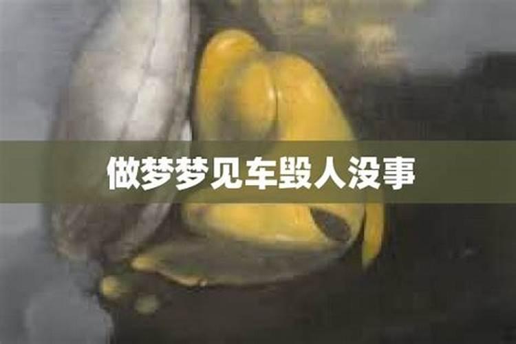 属龙女今年的运势和财运