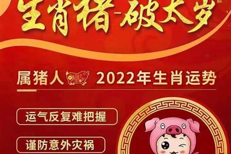 2025属猪冲太岁怎么化解 2025年属猪佩戴什么可以化解犯太岁